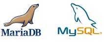 mariadb mysql Google